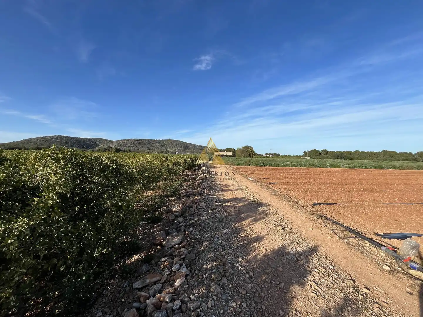 Terrenos y solares en venta en Pueblo, imagen 5