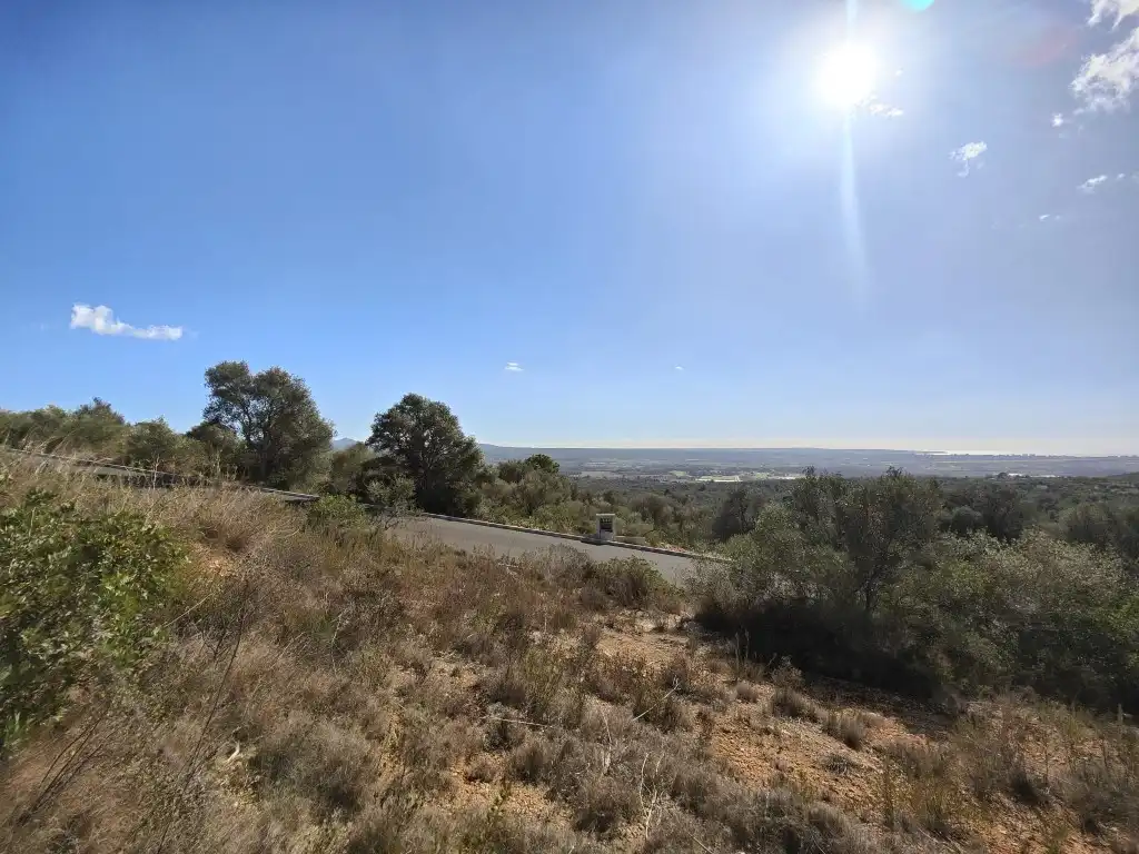 Terreny rústic en venda a Llevant, imagen 19