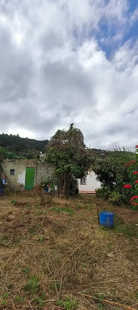 Finca rústica en venta en Camino REVENTON EL, La Vega - El Amparo - Cueva del Viento