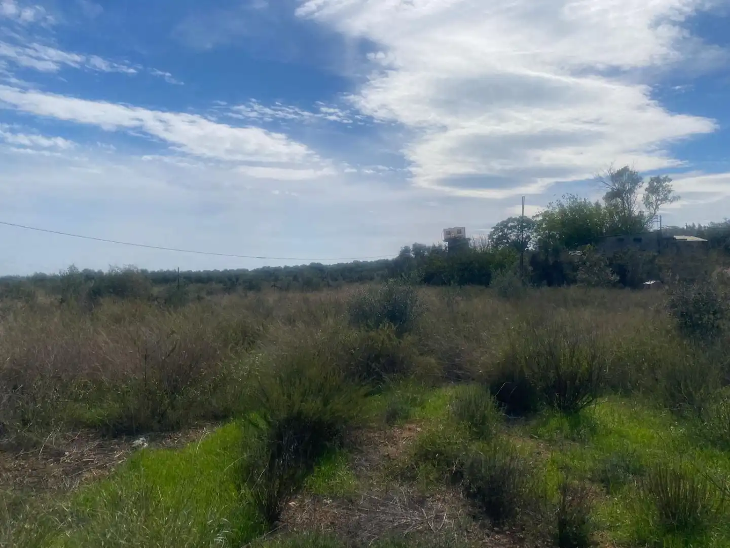 Casa rústica en venta en Albinyana, imagen 25