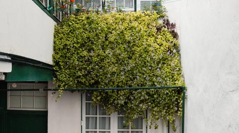 Foto 5 de Casa o chalet en venta en Calle San Agustín, La Laguna, San Cristóbal de la Laguna