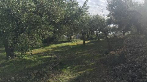 Foto 2 de Finca rústica en venda a Nord, La Ràpita