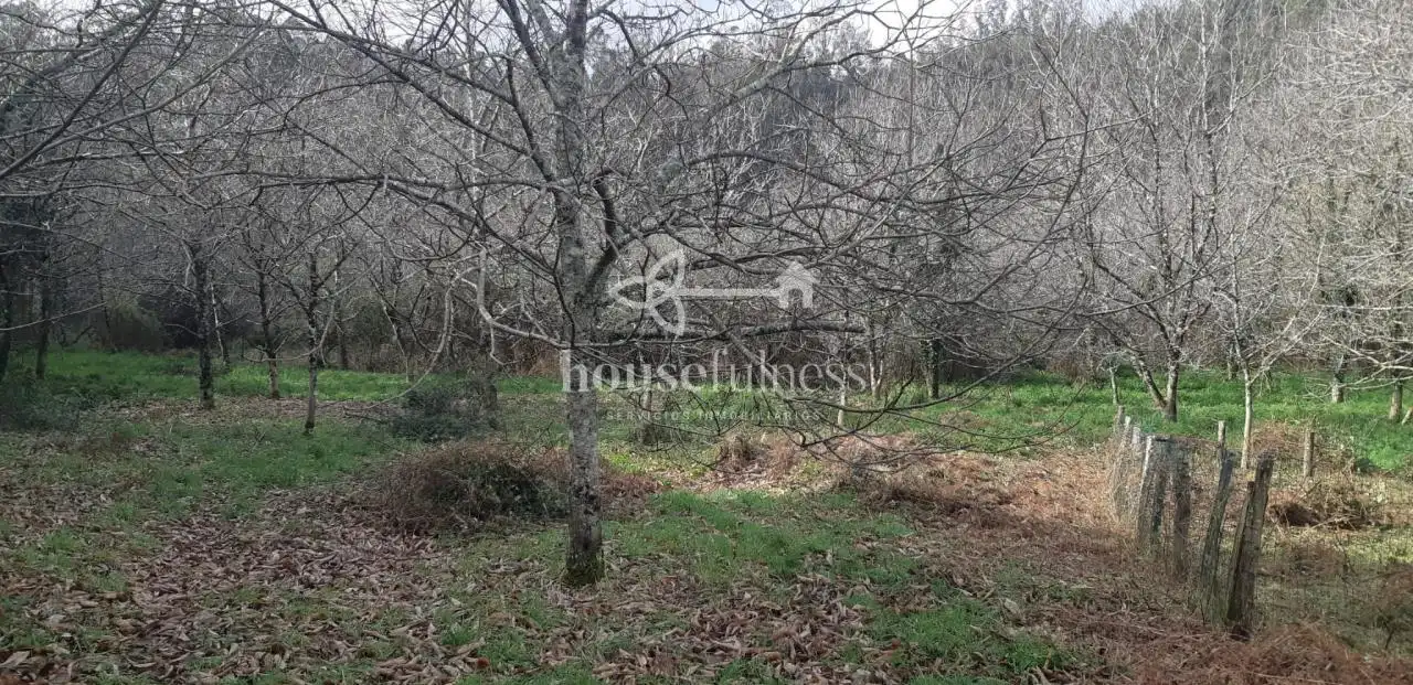 Country homes for sale in Ortigueira  with Private garden