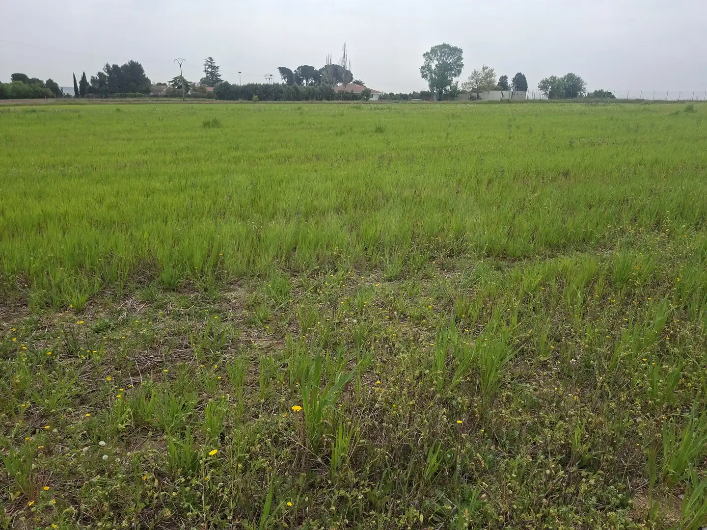 Rural land for sale in Cubas de la Sagra, imagen 4