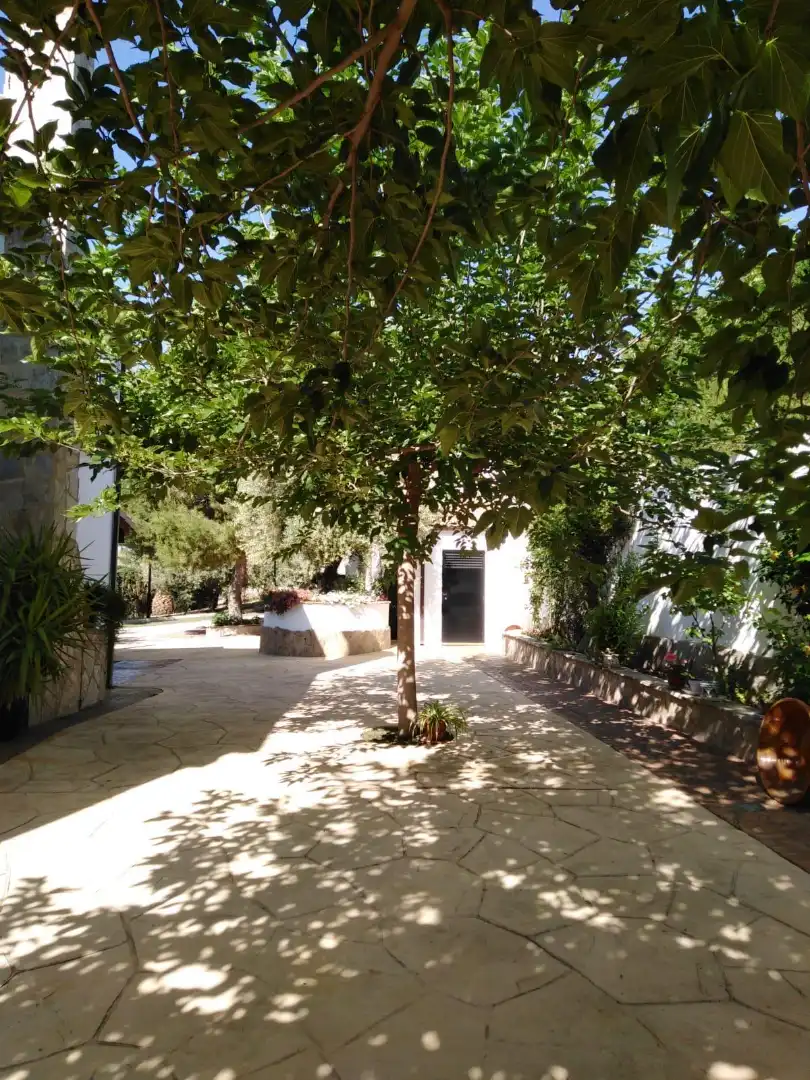 Garden of Houses for sale in Jaén  with Air Conditioner and Furnished