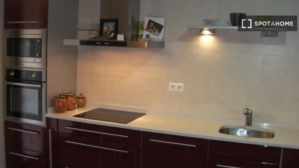Cocina de Apartamento para compartir en Areatza con Aire acondicionado, Calefacción y Terraza