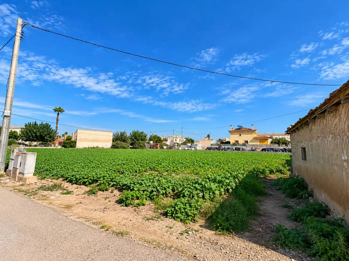 Casa o xalet en venda en Crevillent, Alicante