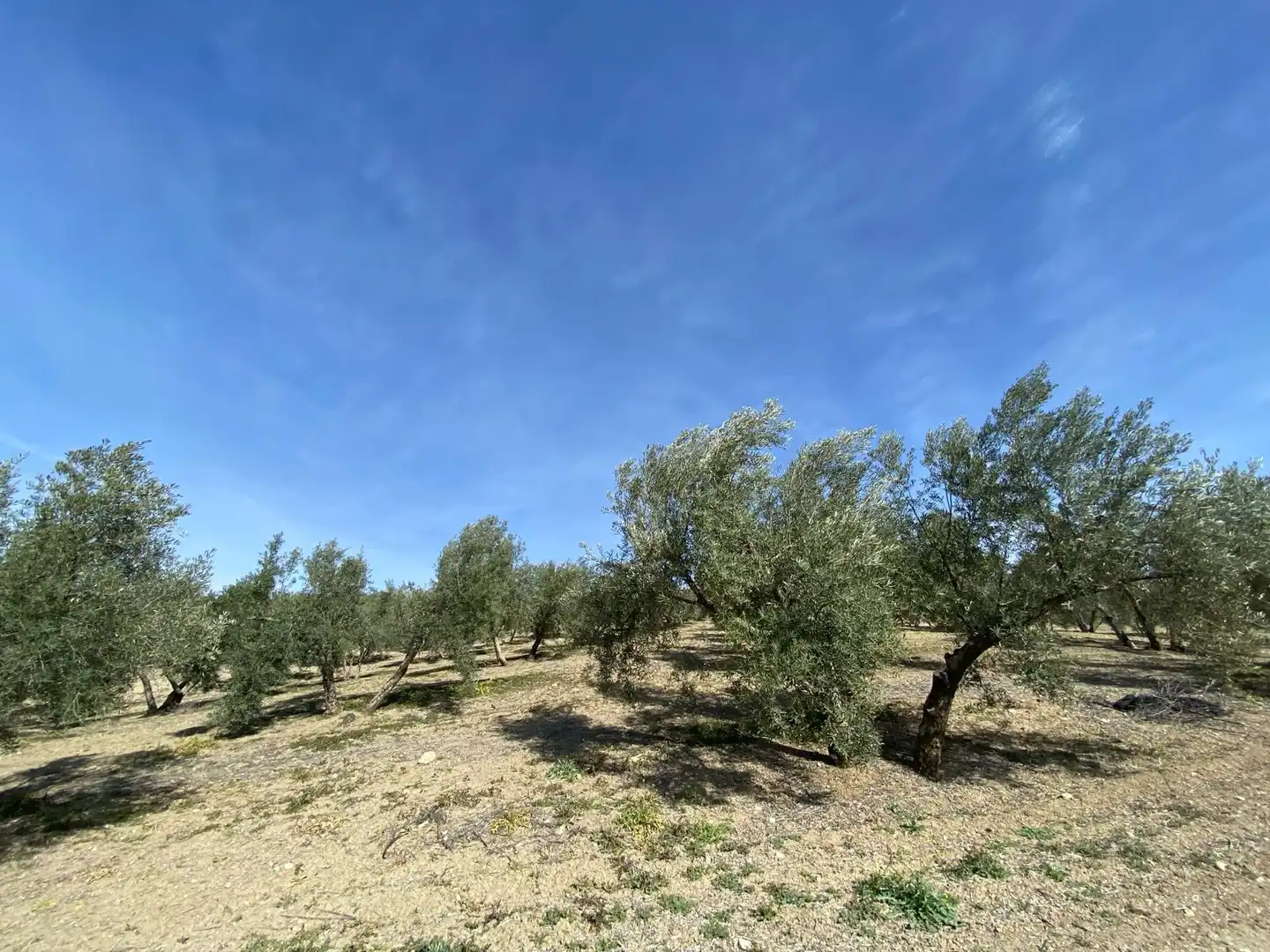 Terreno en venta en Villanueva Mesía