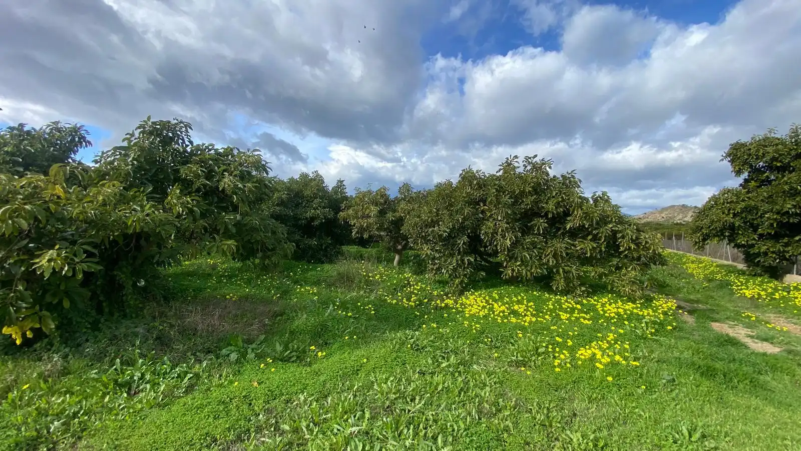 Terreno rustico in vendita a Alquería - Torrealquería, imagen 2