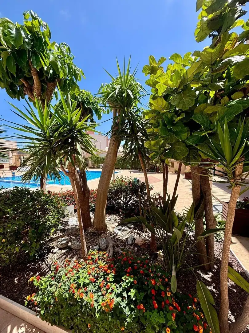Apartament amb piscina en venda a Orihuela Costa, imagen 54