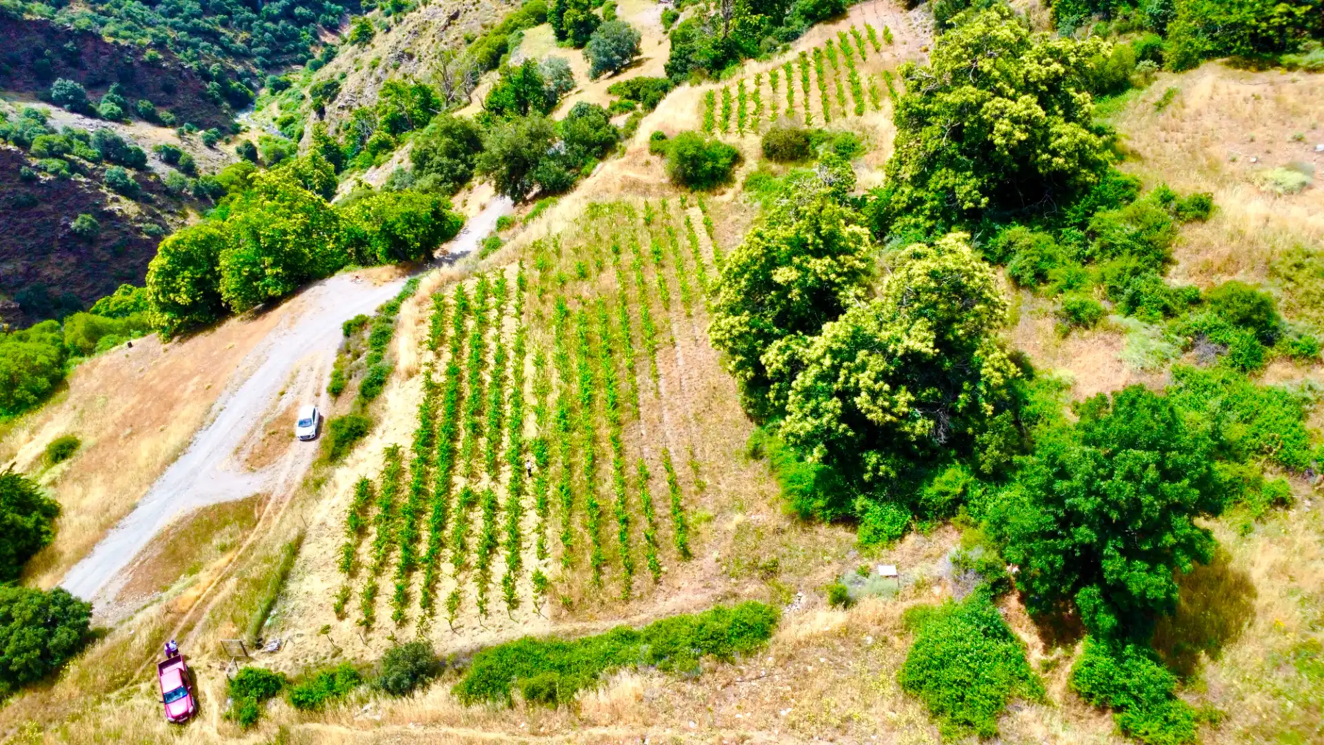 Terreni e lotti in vendita a Alpujarra de la Sierra, imagen 33