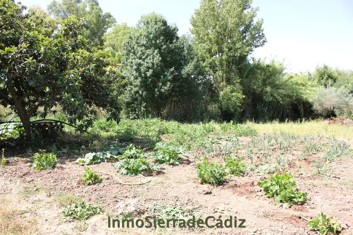 Casa rústica en venda a Algodonales, imagen 13