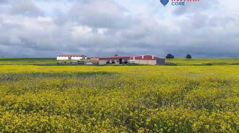 Foto 4 de Terreno en venta en Brozas, Cáceres