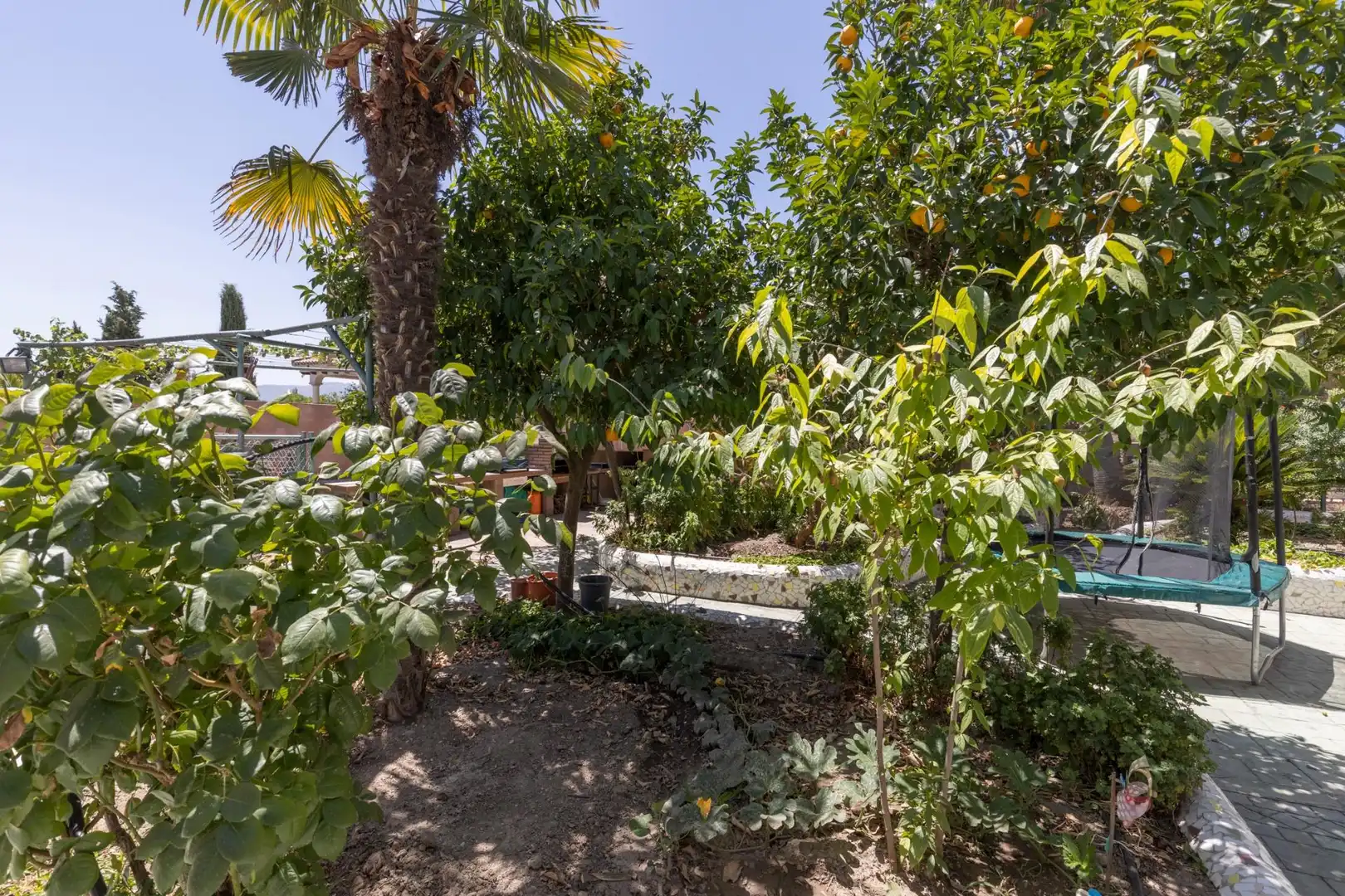 Jardí de Casa o xalet en venda en San Francisco - Chorillo