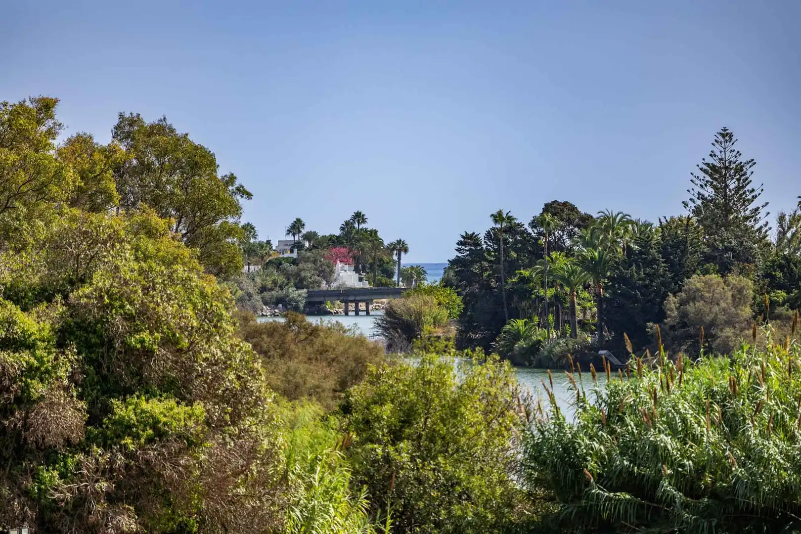 Vista exterior de Apartamento en venta en Sotogrande Costa