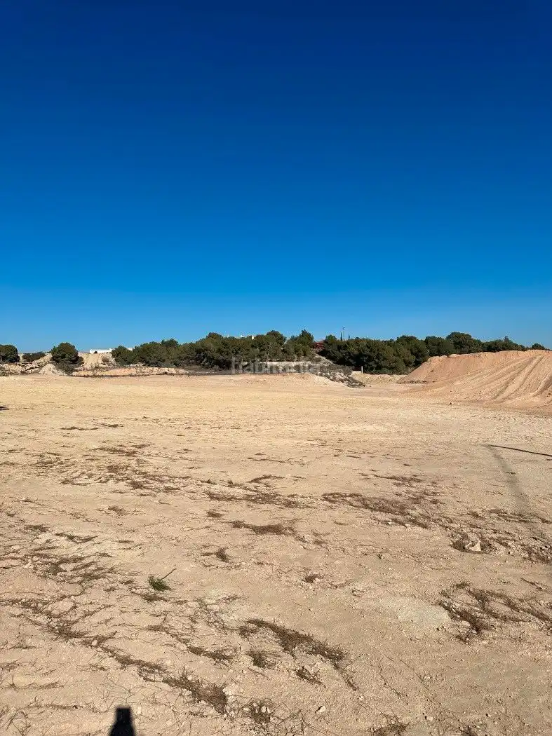 Terrain rustique à vendre à Camino de Catral 31, imagen 27