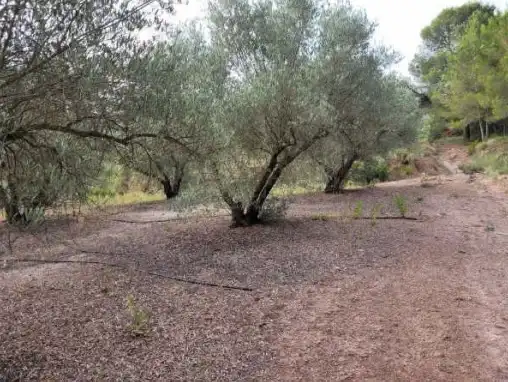 Terrain rustique à vendre à Pt La Costera de Játiva, imagen 6