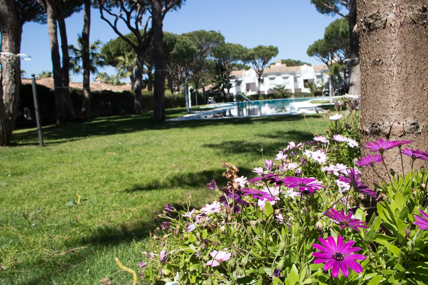 Jardí de Apartament en venda en Chiclana de la Frontera amb Jardí privat, Moblat i Rentadora