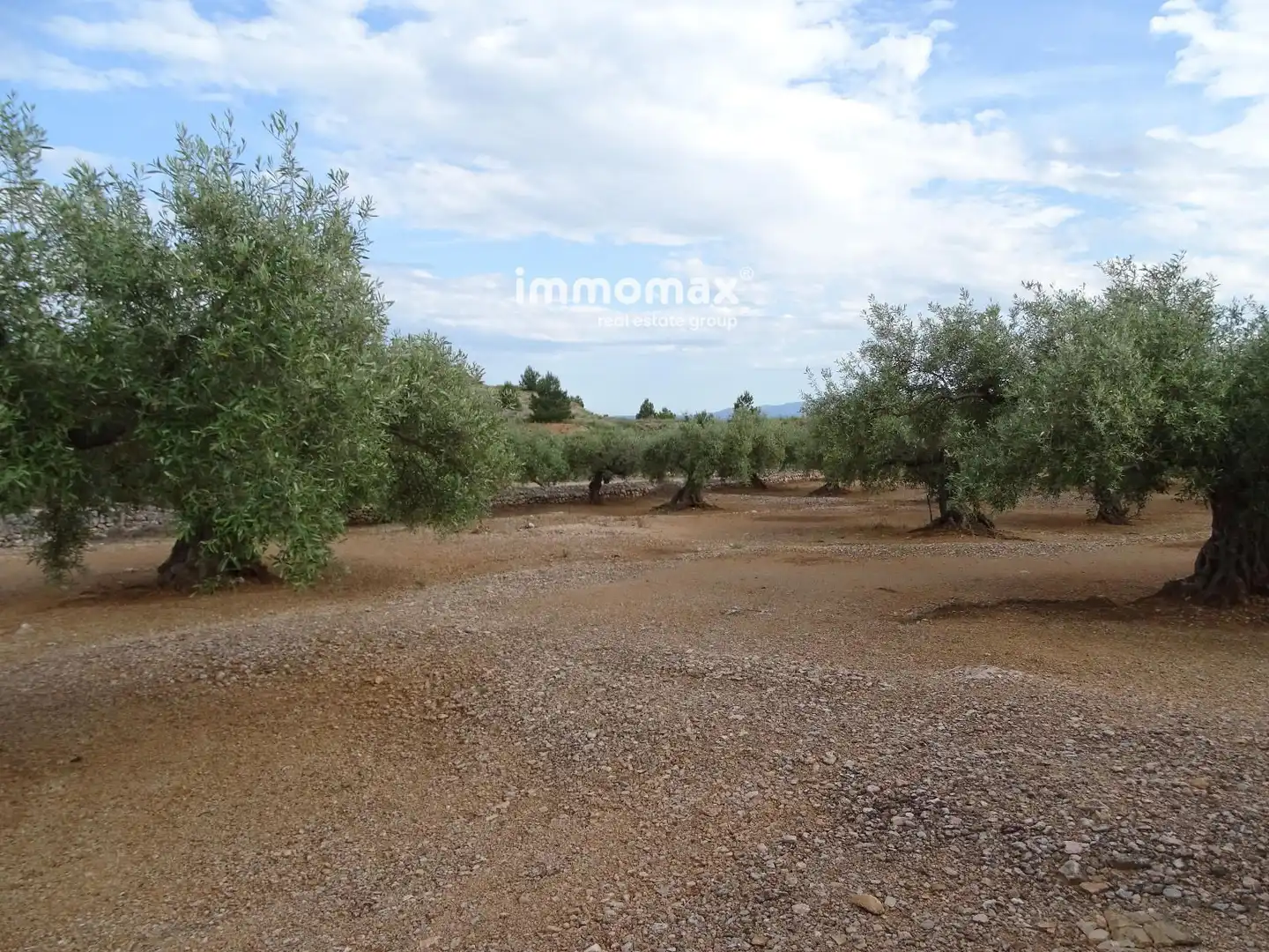 Terrain résidentiel à vendre à 14, imagen 7