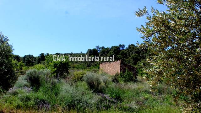 Finca rústica en Venta en Fabara