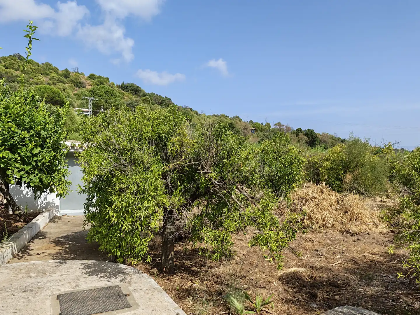 Haus mit Pool zum Verkauf in Selwo, imagen 32