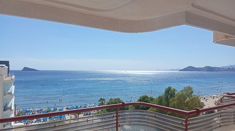 Foto 3 de Pis de lloguer a Avenida del Mediterráneo, Playa Levante, Benidorm