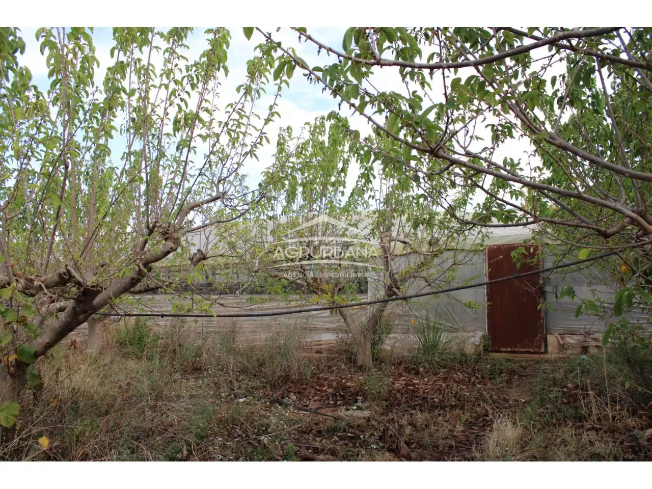 Finca rústica en venta en Motril con Terraza y Piscina