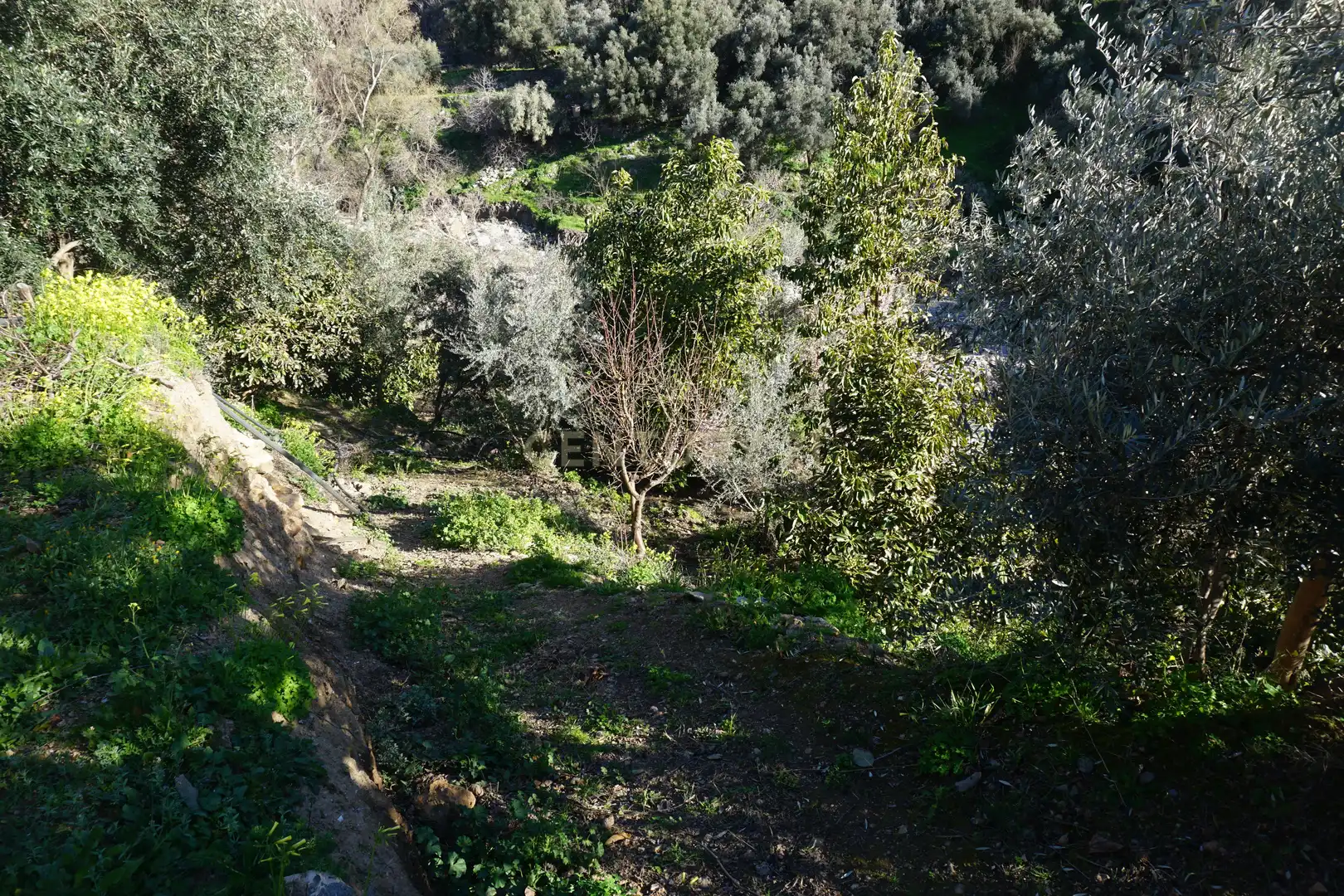 Terreni e lotti in vendita a WG79+QW Lanjarón, Spain, imagen 8