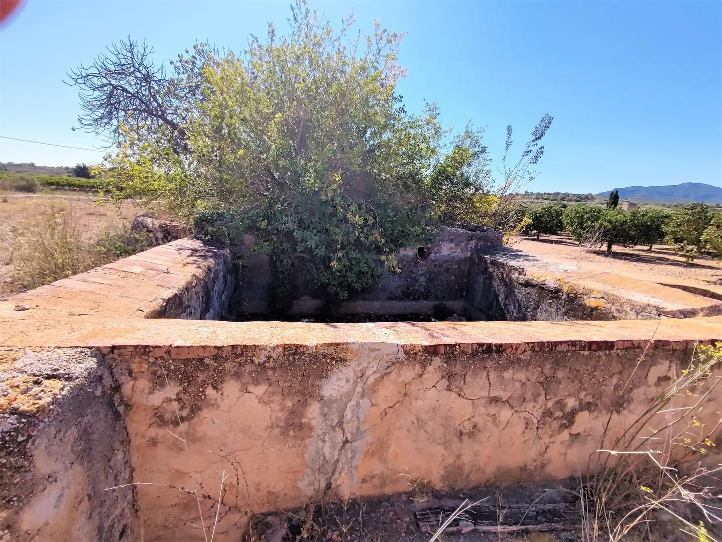Rural land for sale in Carretera d'Amposta, imagen 16
