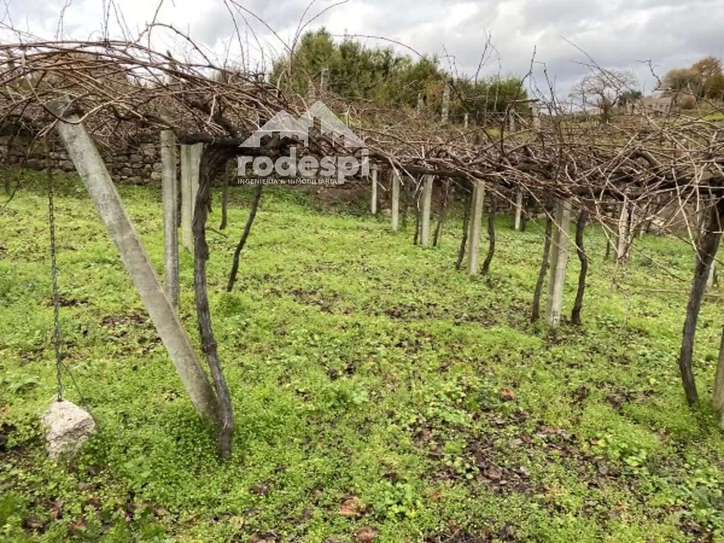Terreny rústic en venda a A Cañiza, imagen 18