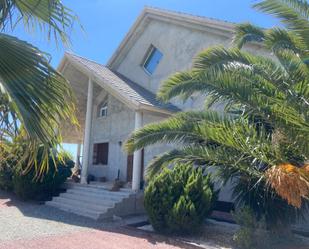 Exterior view of House or chalet for sale in Lorca