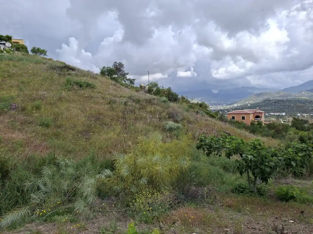 Rustikales Grundstück zum Verkauf in Viñuela, imagen 2