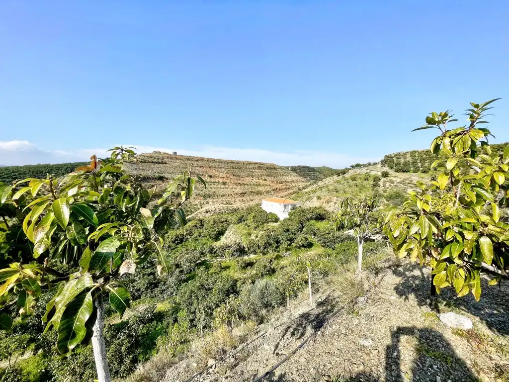 Casa rústica amb jardí en venda a Vélez-Málaga ciudad, imagen 33