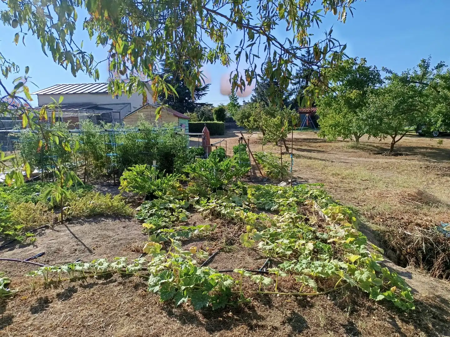 Garden of Houses for sale in Valdunciel  with Terrace and Swimming Pool