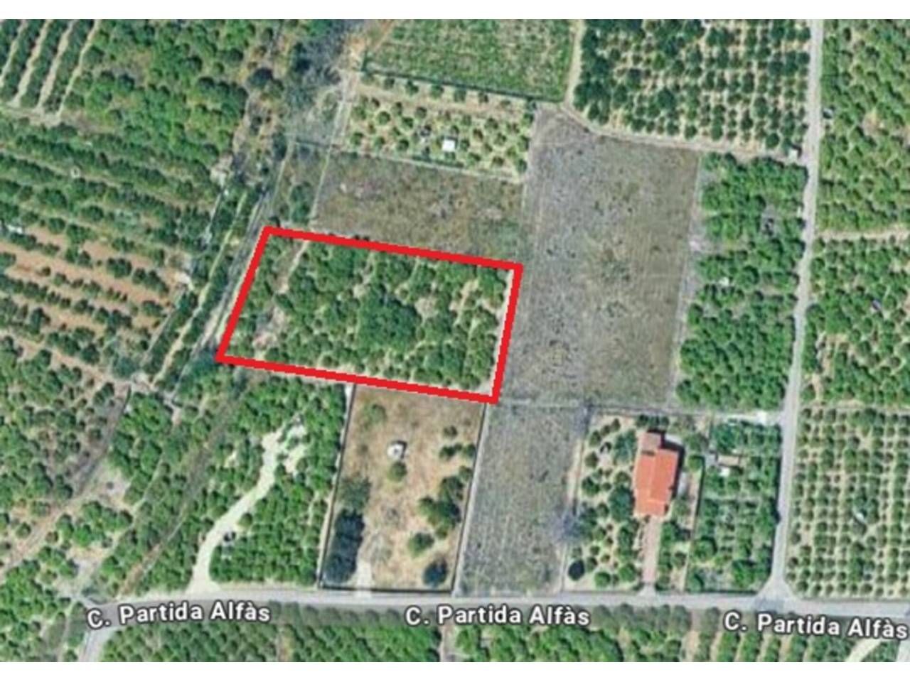 Land for sale in Beniarjó