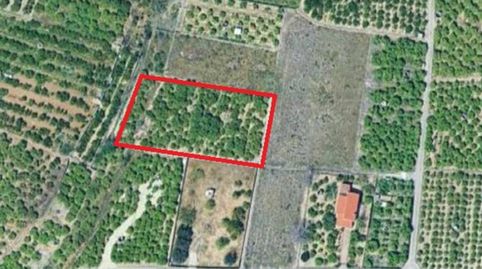 Terreno rústico de 2.525 m en Beniarjó, económico e ideal como huerto personal