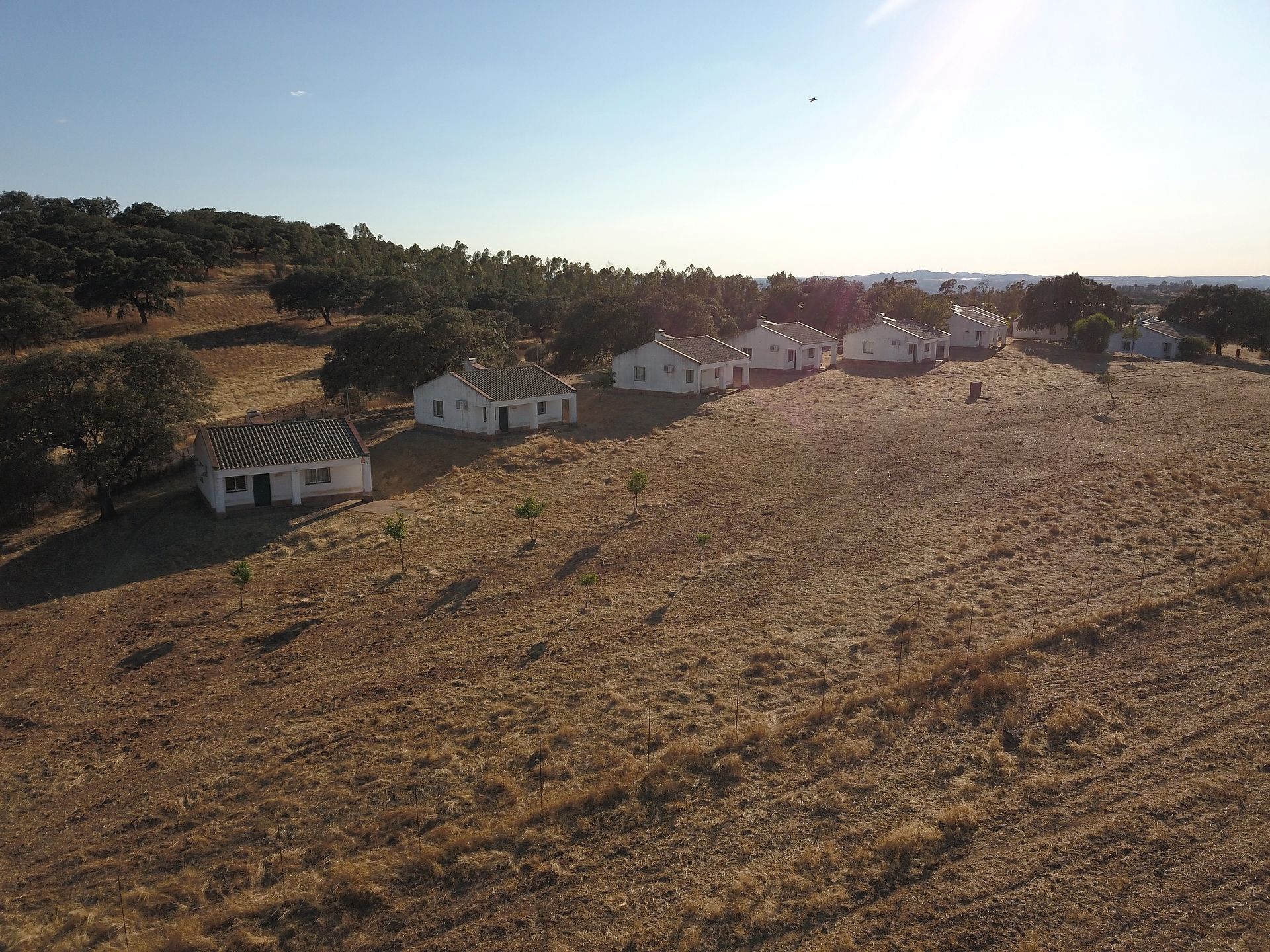Land for sale in N/A, -1, Calañas