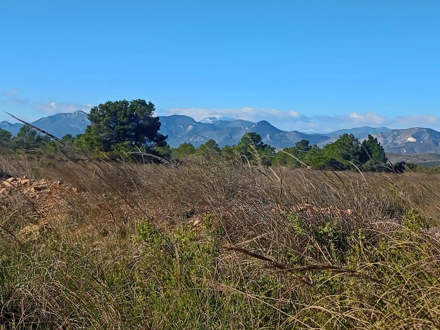 Grundstücke zum Verkauf in Lorca