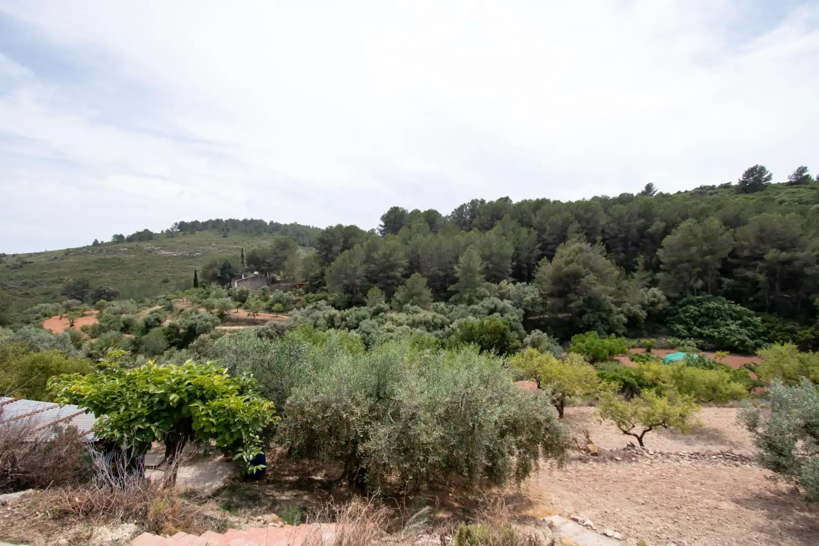 Finca rústica en venda en Benlloc amb Jardí privat, Terrassa i Traster