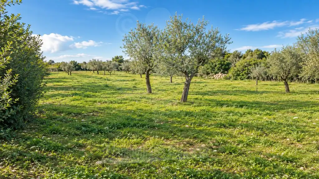 Rustikales Grundstück zum Verkauf in Cala Ferrera - Cala Serena