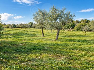Rustikales Grundstück zum Verkauf in Cala Ferrera - Cala Serena