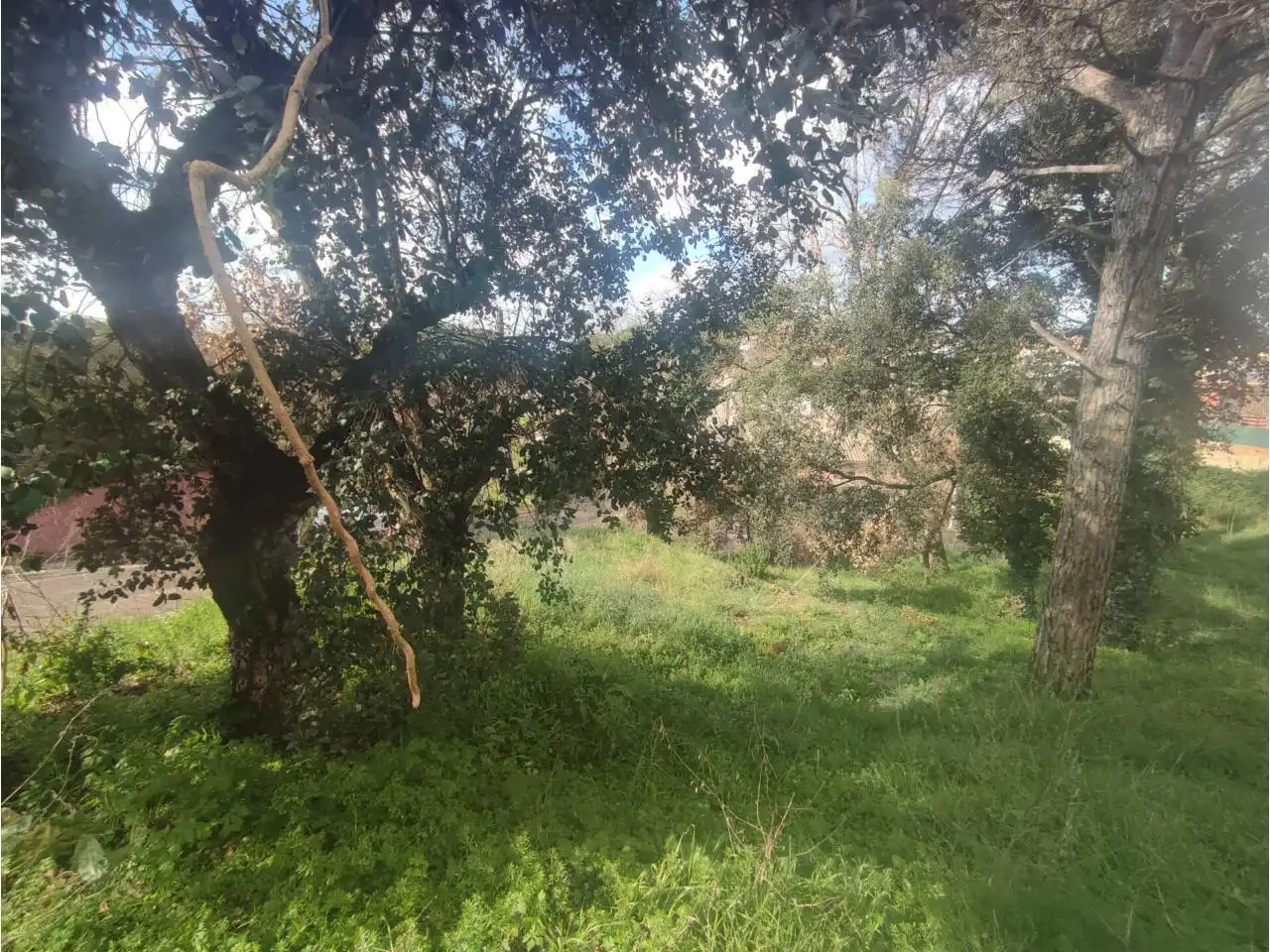 Residential for sale in Caldes de Malavella