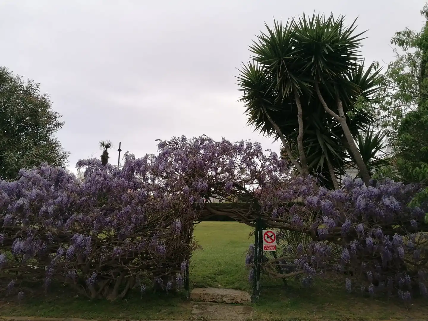 Jardí de Pis en venda en Sant Feliu de Guíxols amb Jardí privat