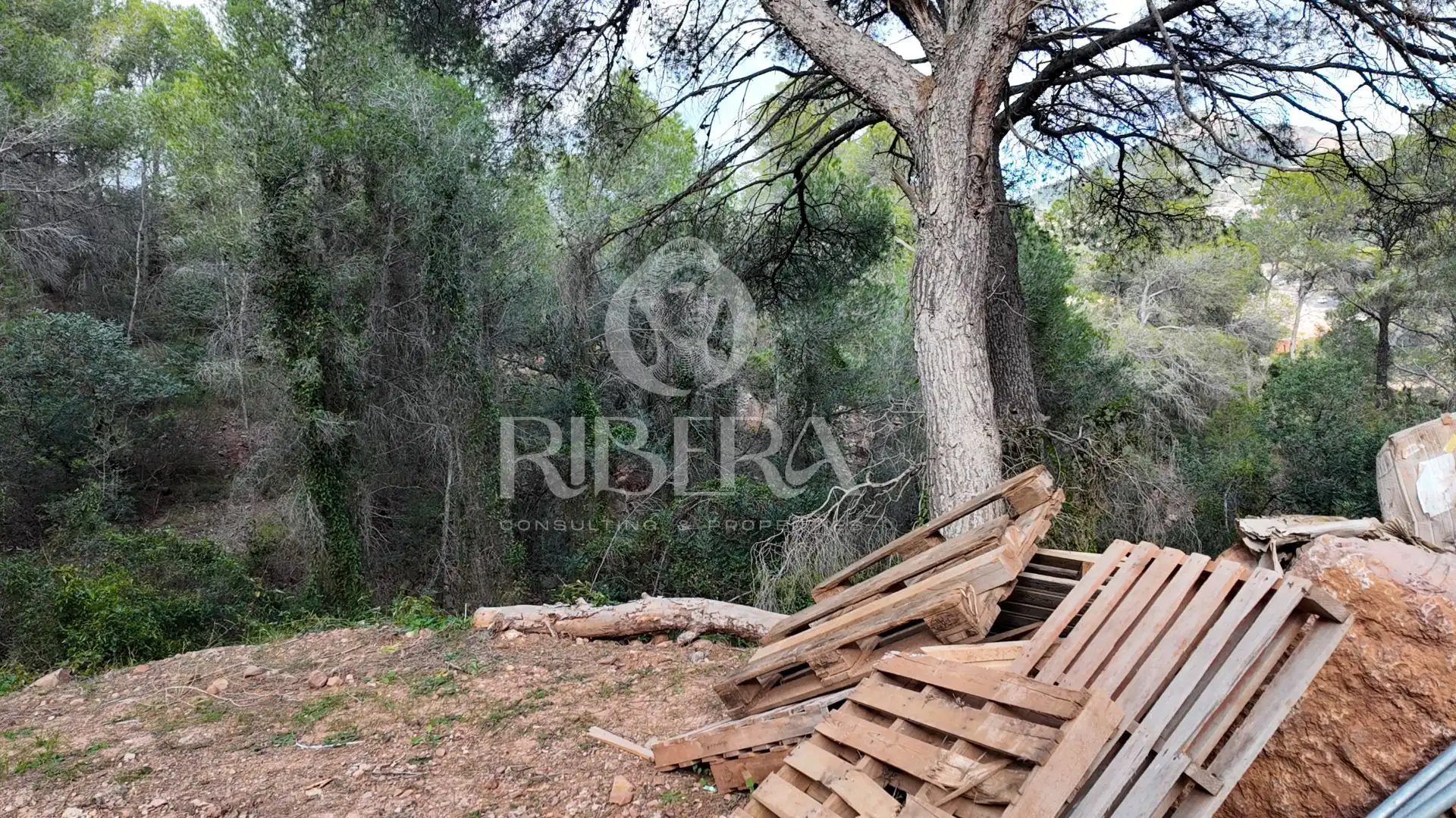 Lands and plots for sale in Urbanización Monteamor, imagen 6