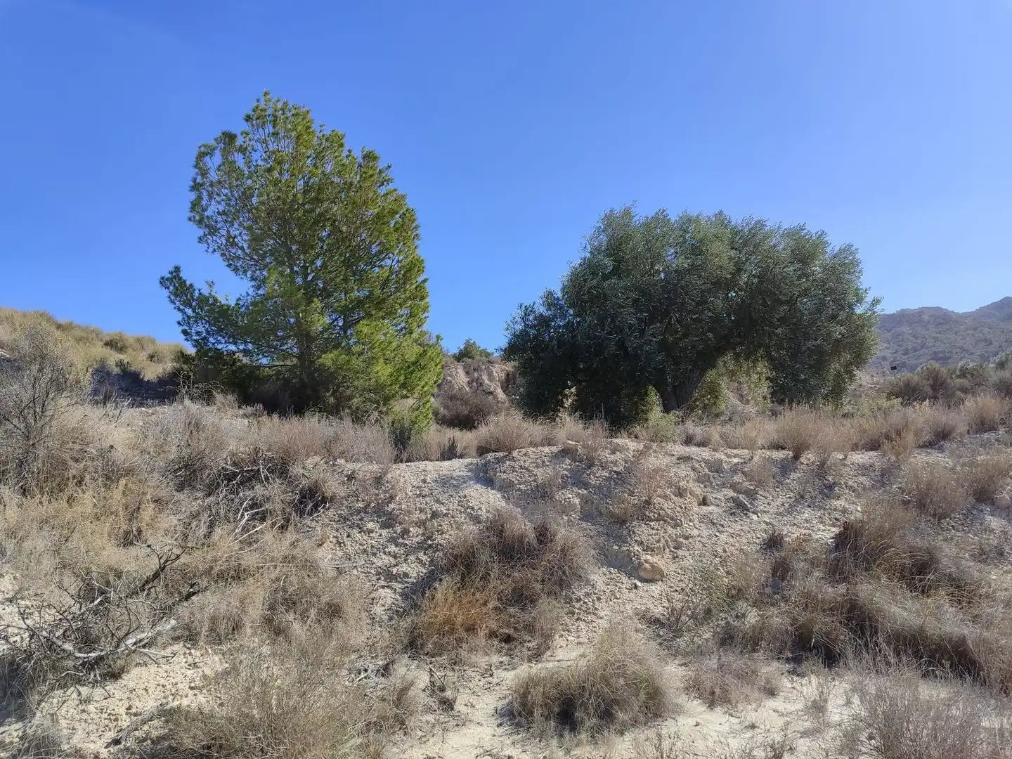 Lands and plots for sale in Abanilla, imagen 18