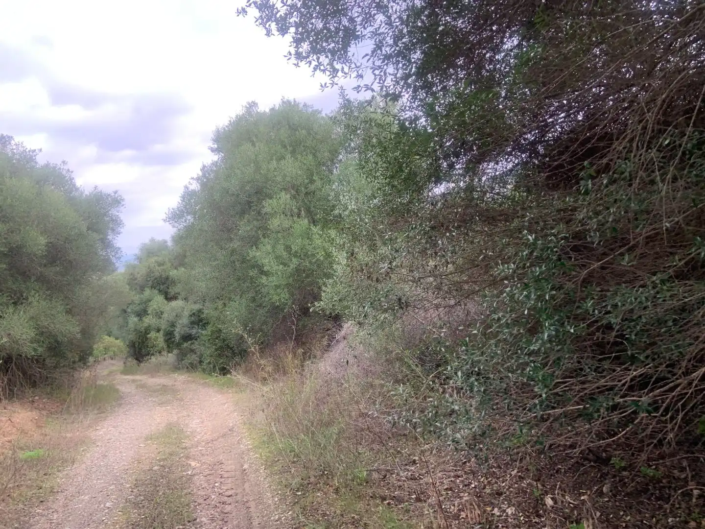 Terreno en venta en Casares
