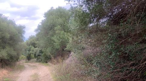 Foto 3 de Terreno en venta en Calle Gaucin, 1, Casares pueblo, Casares