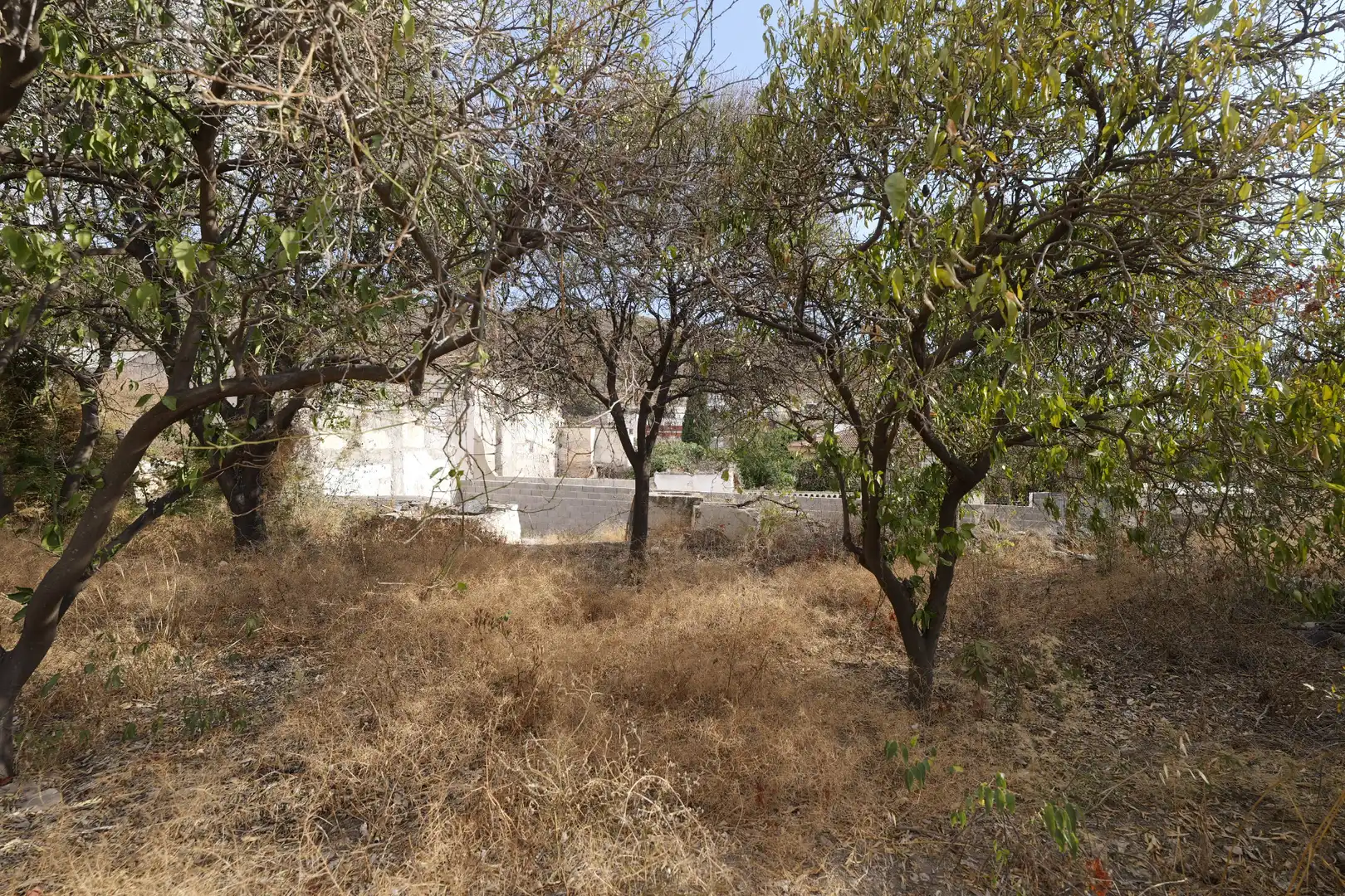 Terreno residencial en venta en Callejón de Beltrán 12, imagen 9