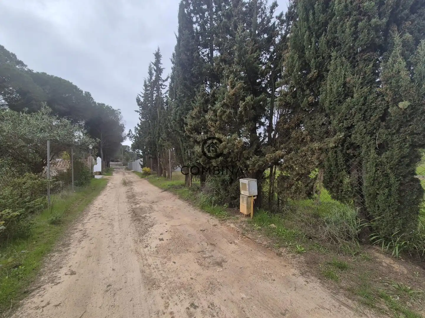 Land for sale in Bonares