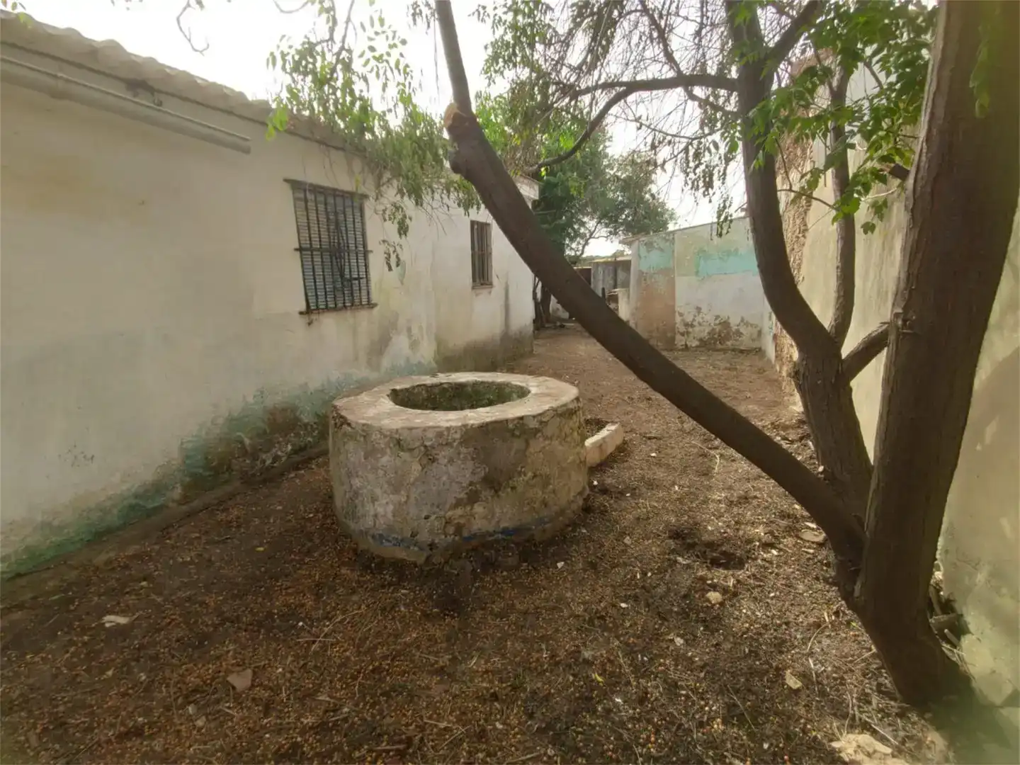 Planta baixa en venda en Villanueva de los Castillejos, Huelva